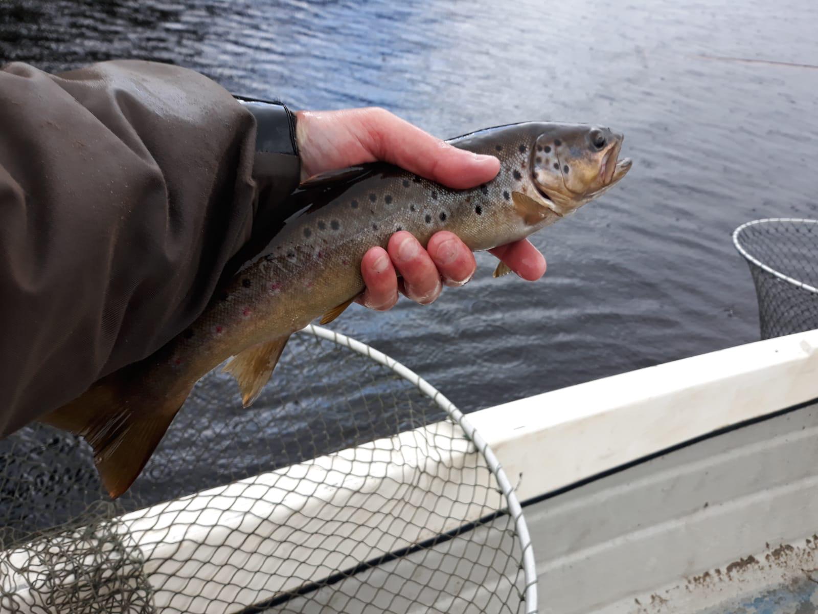 Fishing at Kielder Water