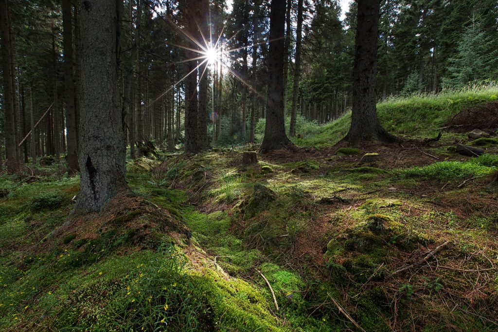 Contact us at Kielder Waterside