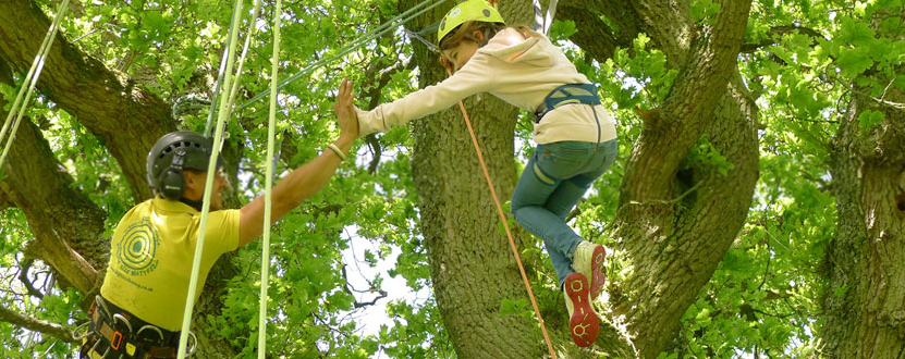 Little girl tree climbing at Kielder Waterside